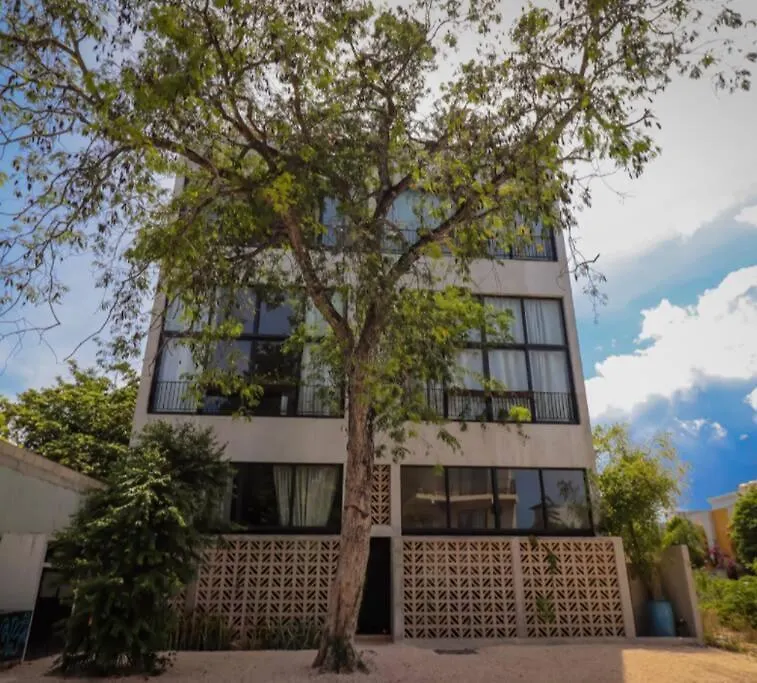2 Bdr Stunning Designer Loft - Centro Tulum Apartment 0*,
