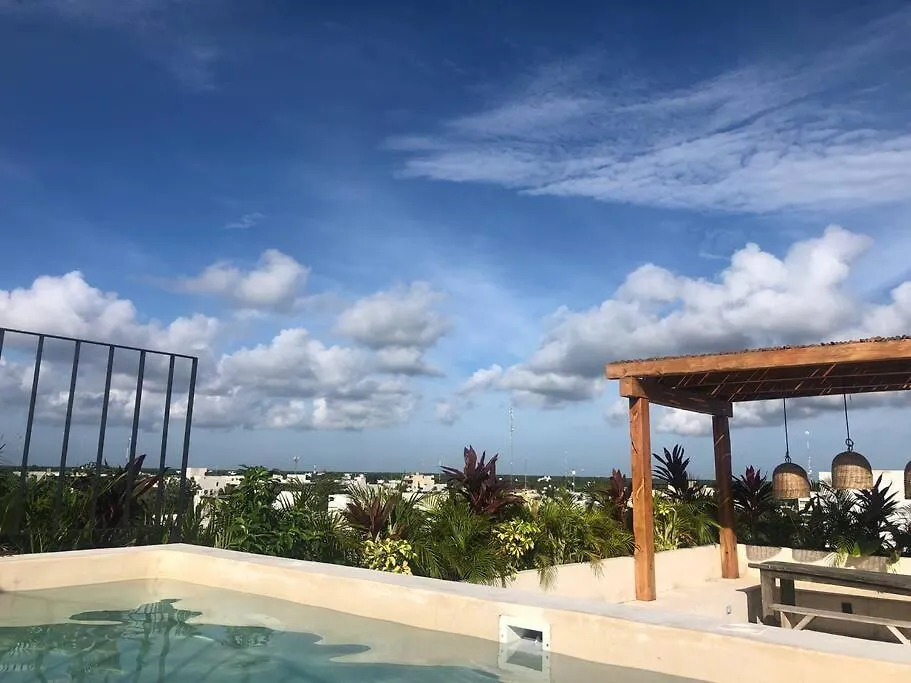 2 Bdr Stunning Designer Loft - Centro Tulum Apartment